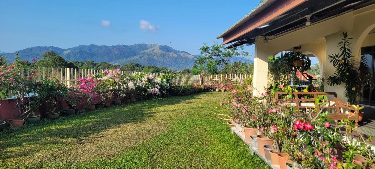 Mountain View Guest House Kb Kota Belud Luaran gambar